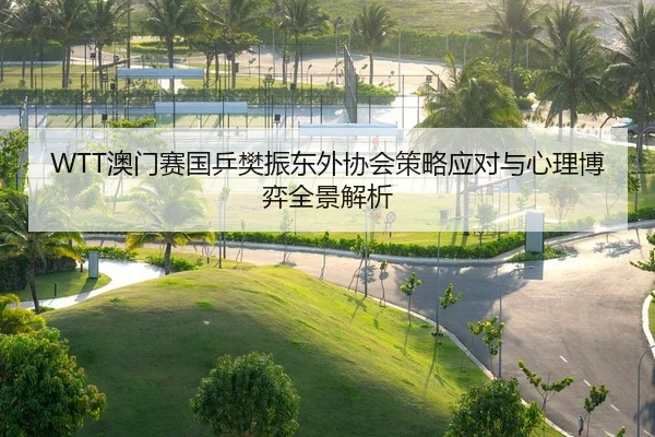 WTT澳门赛国乒樊振东外协会策略应对与心理博弈全景解析